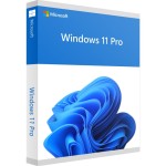 Microsoft Windows 11 Professional  / aktywacja online / aktywacja dożywotnia
